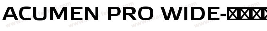 ACUMEN PRO WIDE字体转换